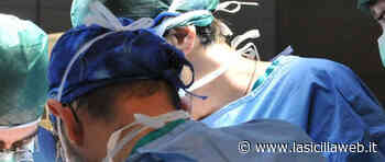 C'è il donatore, complesso prelievo d'organi a Catania - lasiciliaweb - lasiciliaweb | Notizie di Sicilia