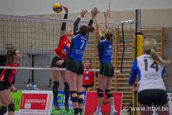 Leider Datovoc Tongeren is een maatje te groot voor Kivola Riemst - Het Belang van Limburg