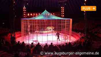 Weihnachtscircus: Tiger-Nummer findet nun mit vollständigem Netz statt