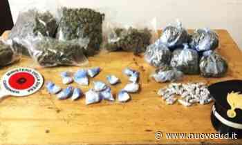 Catania, arrestato per fatti di droga: in carcere per 5 anni - Nuovo Sud