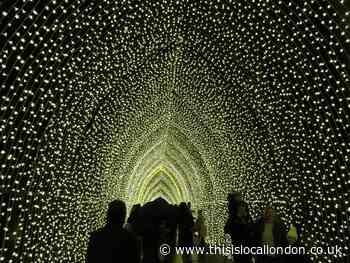 Christmas at Kew Gardens – Magical Winter Lights - Tom Southgate, Hampton School