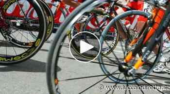 Torna la corsa 'Ricordando Marco Pantani': organizza il Pedale Lucchese Poli - Luccaindiretta - LuccaInDiretta