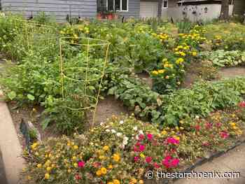 Gardening: There are endless possibilities when you forfeit a front lawn