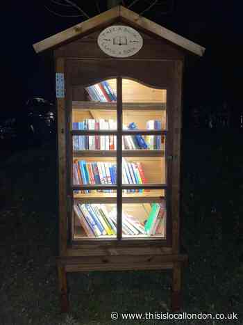 Community library: a light in the darkness - Vivia Shukla, Newstead Wood