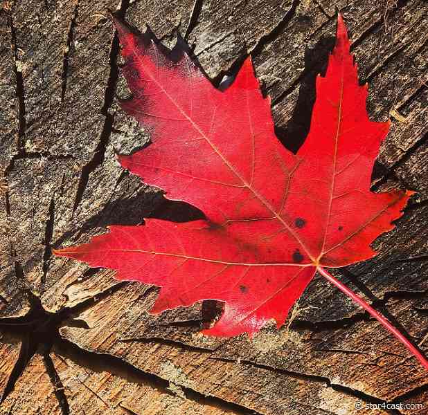 Canada – its axis being rocked in 2022