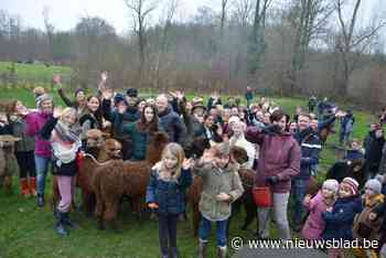 900 euro voor warmste alpacawandeling