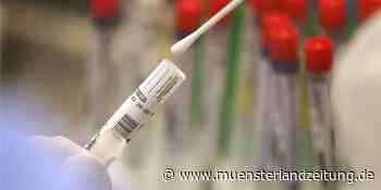 Corona in Ascheberg: 11 weitere Personen gesundet - sinkende Inzidenz - Münsterland Zeitung