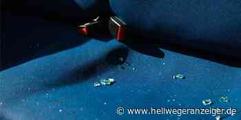 Ascheberg: Diebe stehlen Handtasche aus Auto und das ist kein Einzelfall - Hellweger Anzeiger