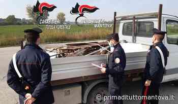 Carabinieri mantovani all'opera: 156 mezzi e 168 persone controllate - Prima Mantova