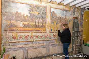 Muurschilderingen ontdekt in woning tijdens werkzaamheden