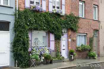 Brasschaat wil iedereen aanzetten tot ontharding van opritten - Gazet van Antwerpen