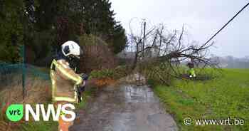 Hevige wind en regen in Brakel en Zottegem: "Stel je voor dat die boom op mij was gevallen!" - VRT NWS