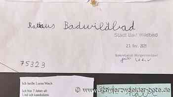 "Bewerbung" unglücklich?: Eine Kandidatur sorgt in Bad Wildbad für Diskussionen