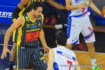 Agribertocchi, arriva l'ala grande Baldassarre - Giornale di Brescia