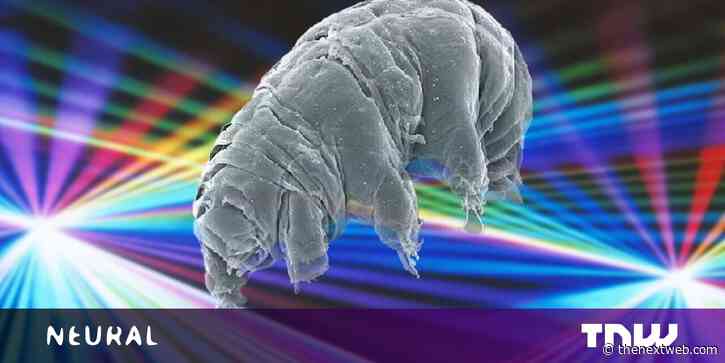 Scientists created a biological quantum circuit in grisly experiment with tardigrades