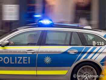 Bundespolizei Passau - Alkoholisierter Mann schlägt um sich - idowa