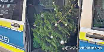 Weihnachtsbaum in Kiel geklaut: Polizei überführt Täter - Kieler Nachrichten