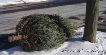 Arnprior Optimists remind you of January 8th tree collection - renfrewtoday.ca