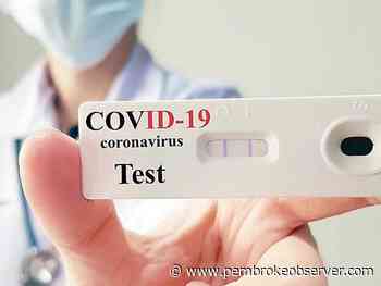 Renfrew County Chambers ramp up free rapid tests to small and medium enterprises - pembrokeobserver.com