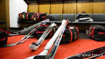 Senators cancel skate for 'precautionary reasons' - TSN