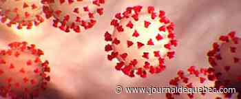 Omicron moins dangereux que Delta, selon une étude de la Santé publique de l’Ontario