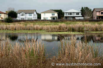 We Got Gators in Austin. Now What? Fearsome invaders or frightened longtime residents facing displacement? Either way, we got gators in town. - News - Austin Chronicle