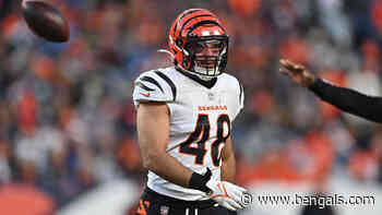 Austin Calitro Signed Off Practice Squad - Bengals.com