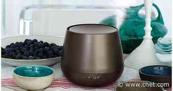 Best essential oil diffusers for 2022     - CNET