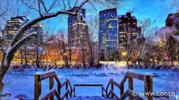 Check out these stunning shots captured by photographers who weren't deterred by the deep freeze