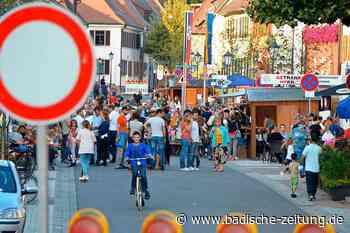 Kreisimpfzentrum in Kenzingen und Debatte um "Pfannenstiel" - Kenzingen - Badische Zeitung