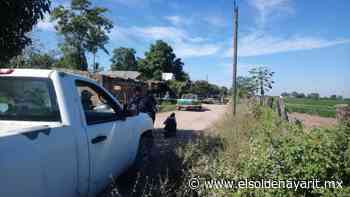 Ejecutan a balazos a hombre en el municipio de Tecuala. - El Sol de Nayarit