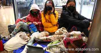 US flight cancellations pile up before busy New Year’s weekend - Aljazeera.com