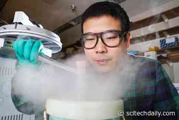 Plant Scientists Find Recipe for Anti-Cancer Compound in Herbs Like Thyme and Oregano