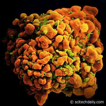 FDA Approval of Long-Acting Injectable Drug Marks Pivotal Expansion of HIV Prevention Options