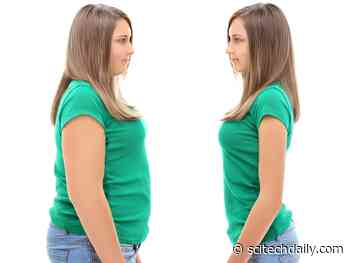 Researchers Find the Secret Behind Maintaining Healthy Weight Loss