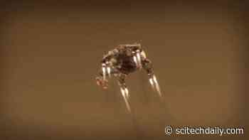 We Asked a NASA Scientist: What’s It Like Landing on Mars? [Video]