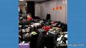 WATCH:  Luggage in limbo