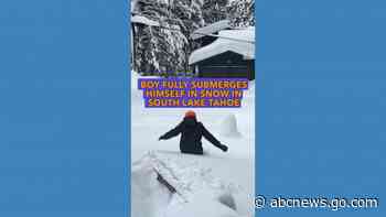 WATCH:  Disappearing act in the snow