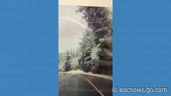 WATCH:  Oregon DOT worker avoids falling tree