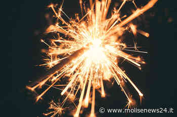 Termoli, botti di Capodanno: invito al rispetto del benessere degli animali - Molise News 24