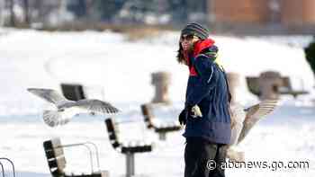 Another round of snow before thaw comes to frigid Northwest