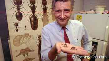 Edward O. Wilson, biologist known as 'ant man,' dead at 92