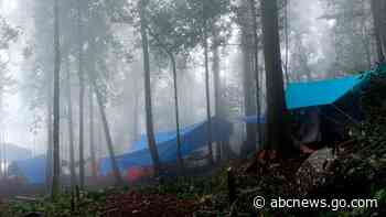 Louisiana researchers ID 14 new shrew species on Sulawesi