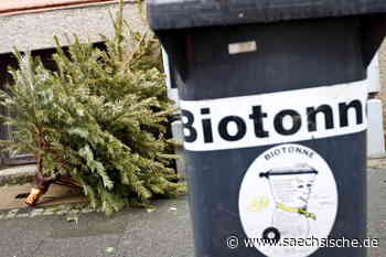 Riesa: Elbland: Wohin mit dem Weihnachtsbaum? - Sächsische.de