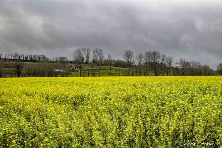 Coronabesmettingen in Vlaamse Ardennen met 74 procent gedaald in vier weken tijd, maar nog steeds veel hoger dan toen men zich zorgen ging maken