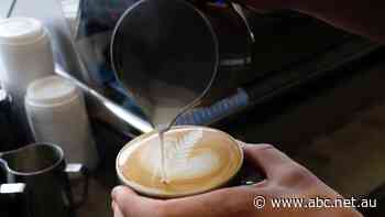 SA gyms, hospitality businesses to receive cash grants