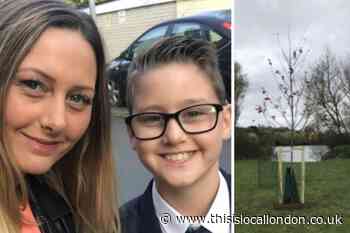Harley Watson tree, gunfight footage released, East 17 back