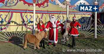 Zirkus Aramannt aus Medewitzerhütten mit Weihnachtszirkus in Bad Belzig - Märkische Allgemeine Zeitung