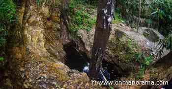 Treasure hunt gang digs Palode forest for gem stones, leaves cops clueless | Kerala News | Manorama English - Onmanorama