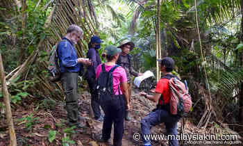 In fight for Shah Alam forest, can activists replicate a win? - Malaysiakini